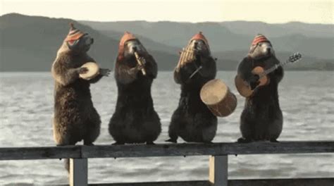 dancing beaver gif